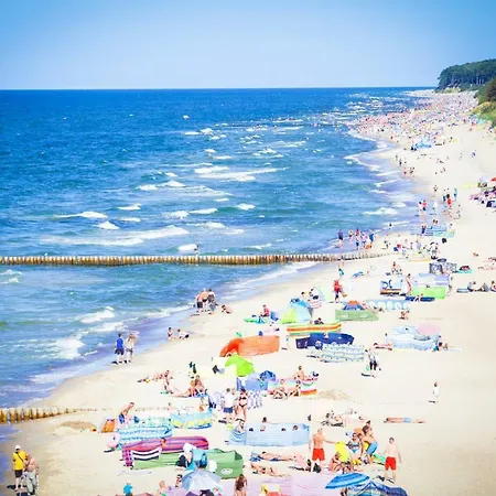 Klifowa 14 아파트 레왈